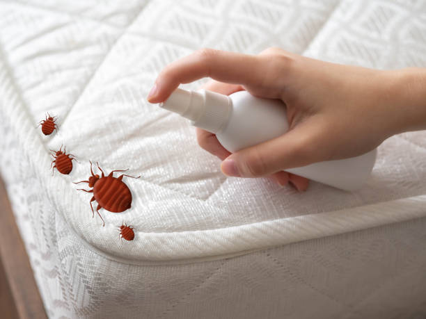Best Pest Control Near Me  in Hartford, SD