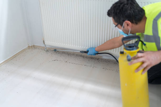 Pest Control for Restaurants in Hartford, SD
