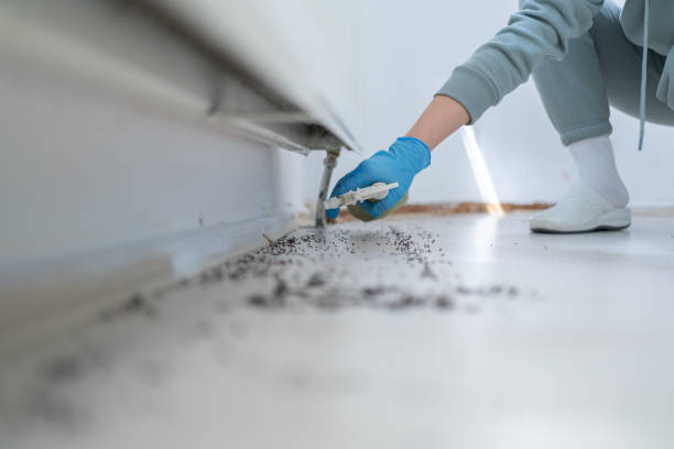 Best Best Pest Control Companies  in Hartford, SD